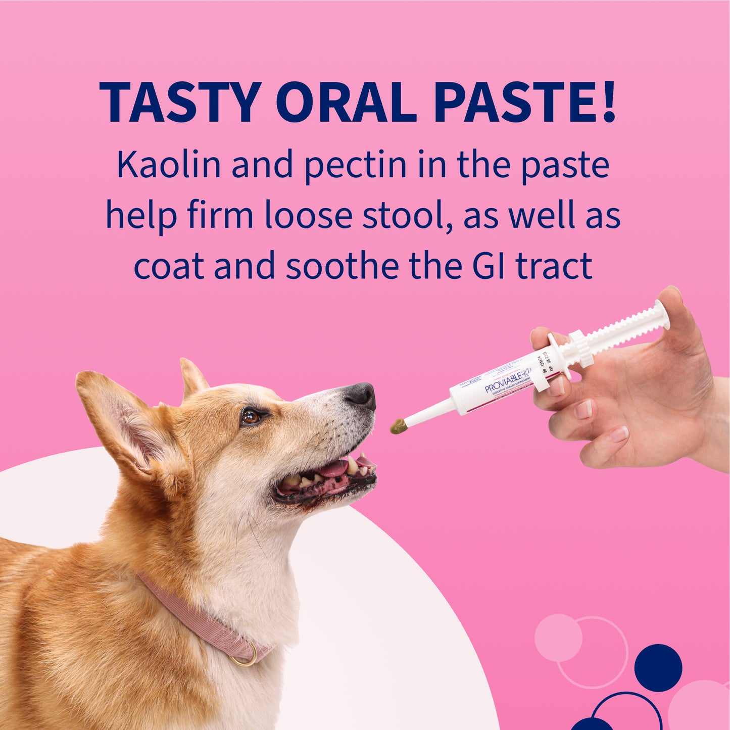proviable-kp/dc kit for medium and large dogs, 30 ml paste/10 capsules