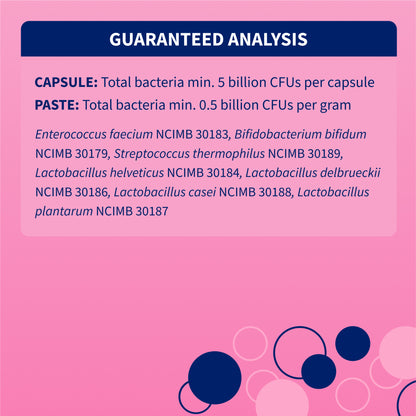 Proviable-KP/DC Kit for Medium and Large Dogs, 30 mL Paste/10 Capsules