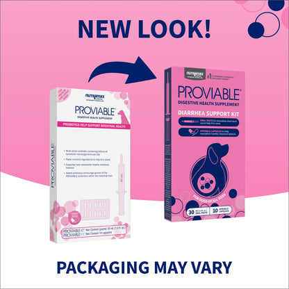 Proviable-KP/DC Kit for Medium and Large Dogs, 30 mL Paste/10 Capsules