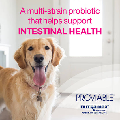 Proviable-KP/DC Kit for Medium and Large Dogs, 30 mL Paste/10 Capsules