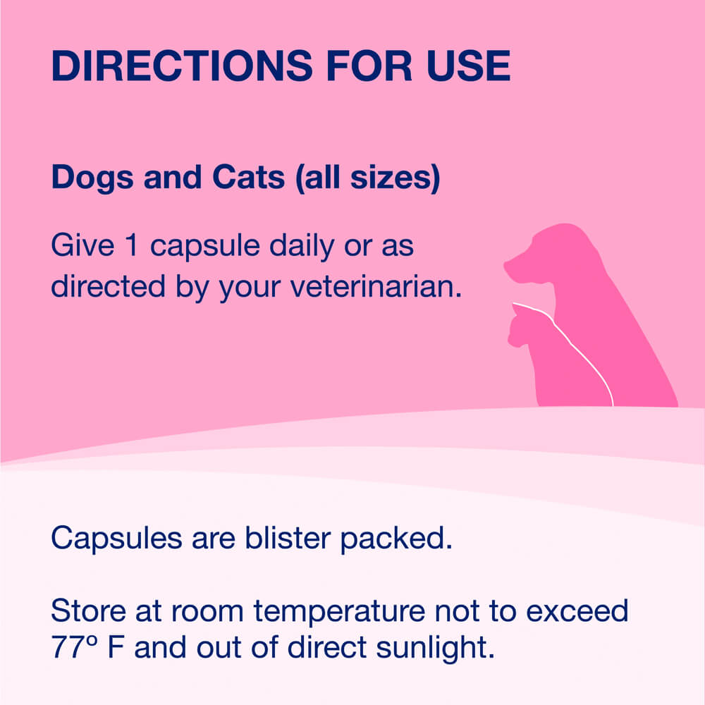 proviable-dc for dogs and cats, 30 capsules