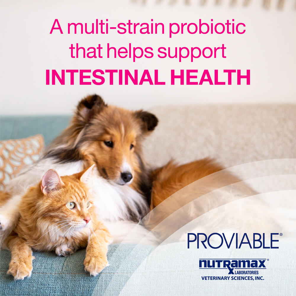 proviable-dc for dogs and cats, 30 capsules
