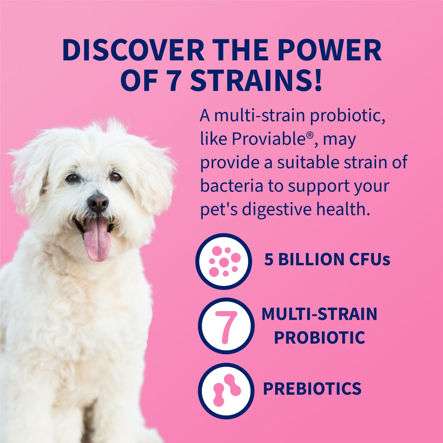 proviable-dc for dogs and cats, 30 capsules