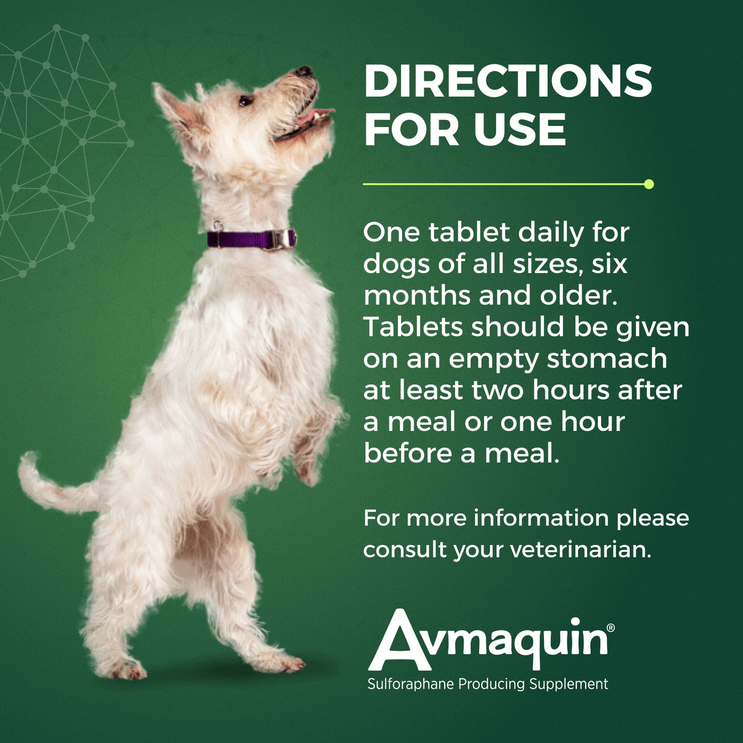 avmaquin for dogs, 45 tablets
