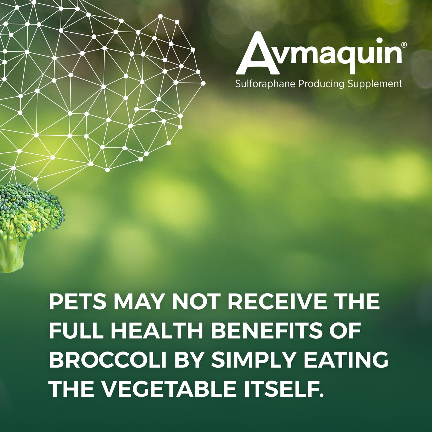 avmaquin for dogs, 45 tablets