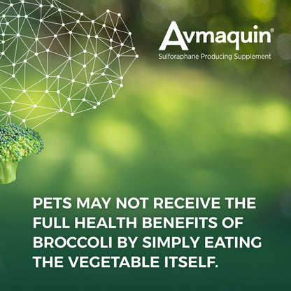 Avmaquin for Dogs, 45 Tablets