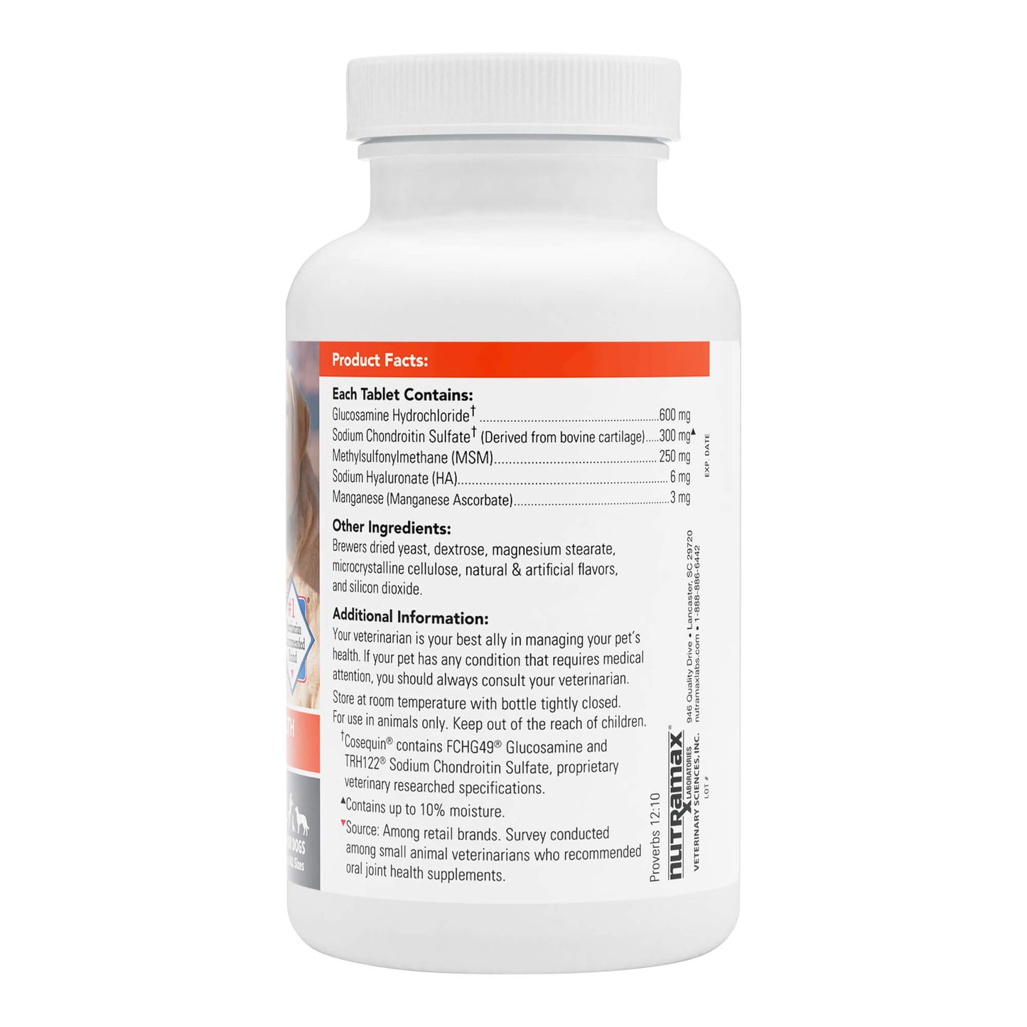 cosequin ds plus msm plus ha chewable tab   75 count