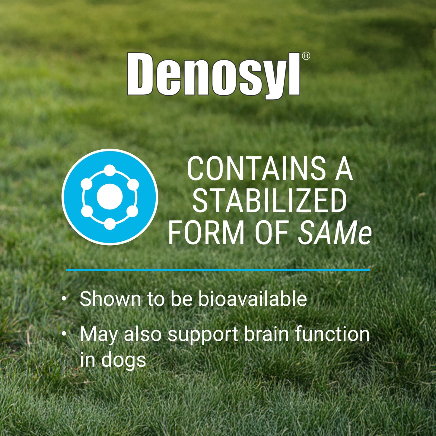 denosyl for large dogs  425 mg  30 stabilized tablets