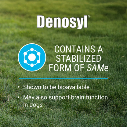 Denosyl for Large Dogs  425 mg  30 Stabilized Tablets