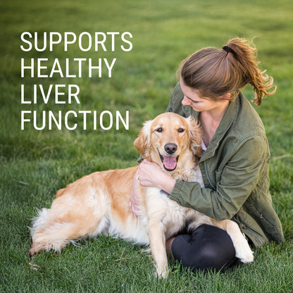 Denosyl for Large Dogs  425 mg  30 Stabilized Tablets