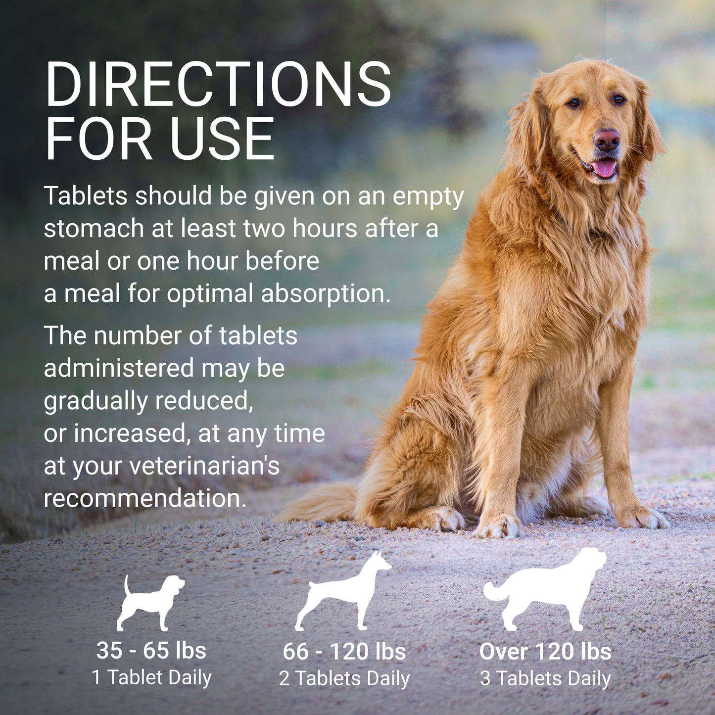 denosyl for large dogs  425 mg  30 stabilized tablets