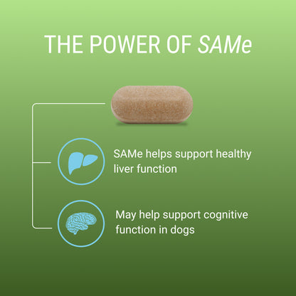 Denosyl for Large Dogs  425 mg  30 Stabilized Tablets