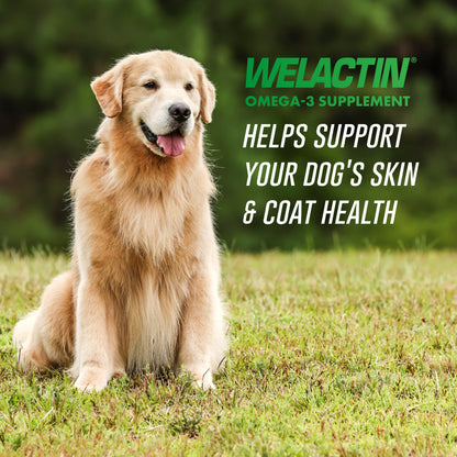 Welactin Natural Omega-3 Supplement for Dogs  16 fl oz