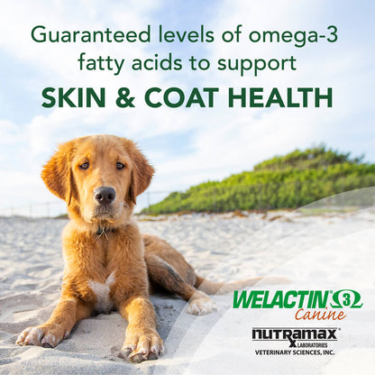 Welactin Natural Omega-3 Supplement for Dogs  16 fl oz