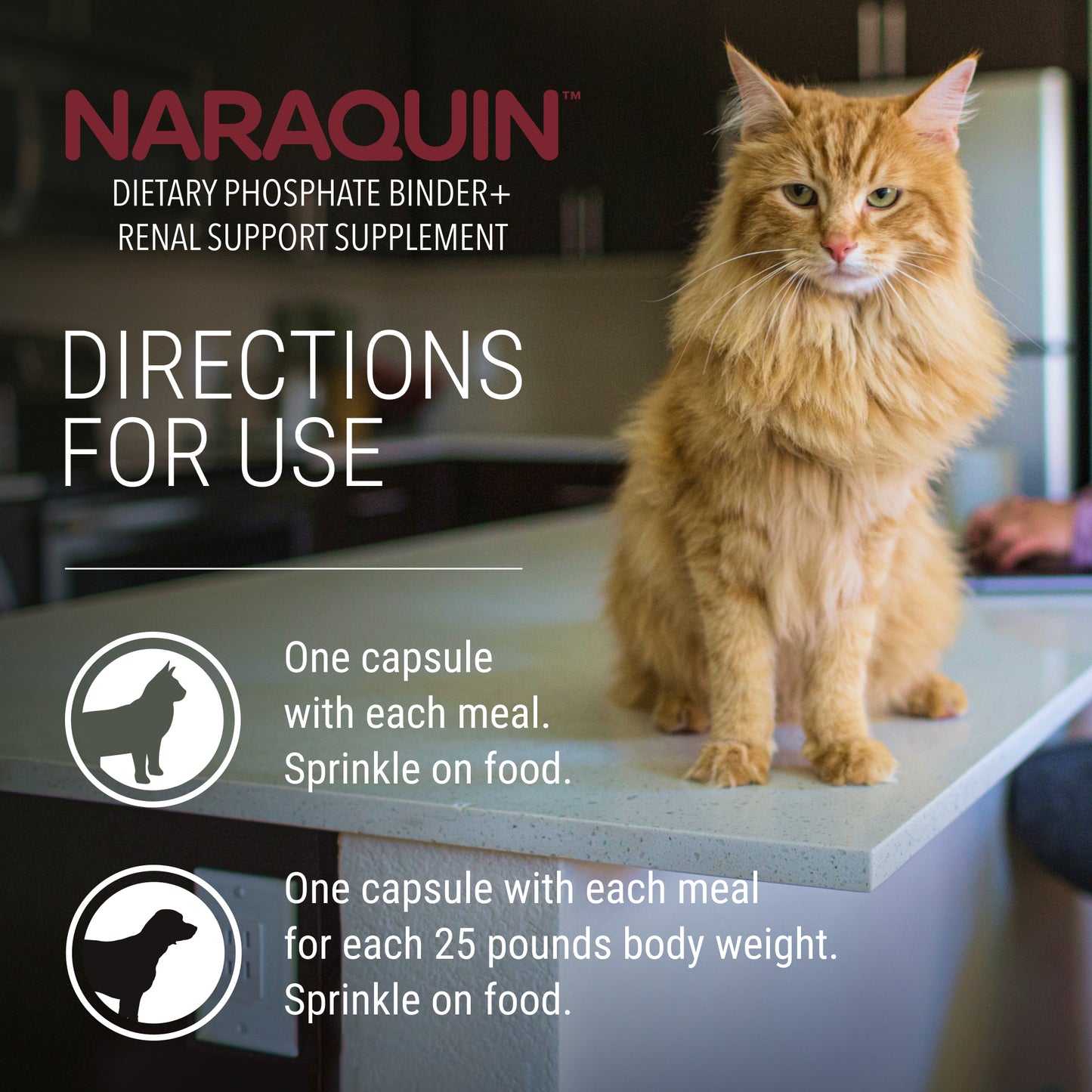 naraquin for cats & dogs of all sizes, 60 count