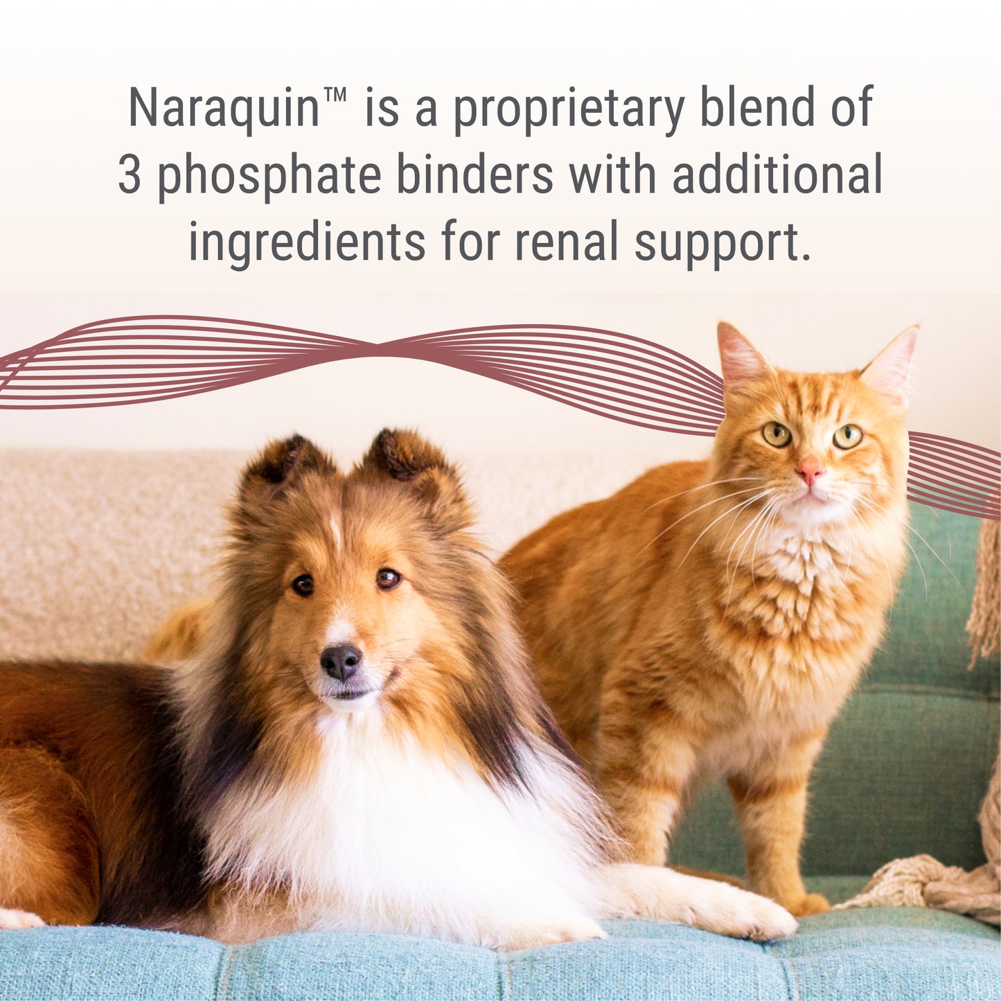 naraquin for cats & dogs of all sizes, 60 count