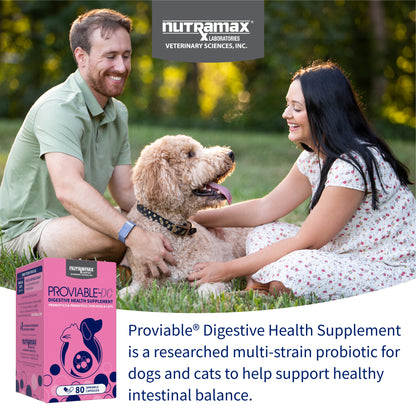 Proviable-DC for Dogs and Cats  80 Capsules