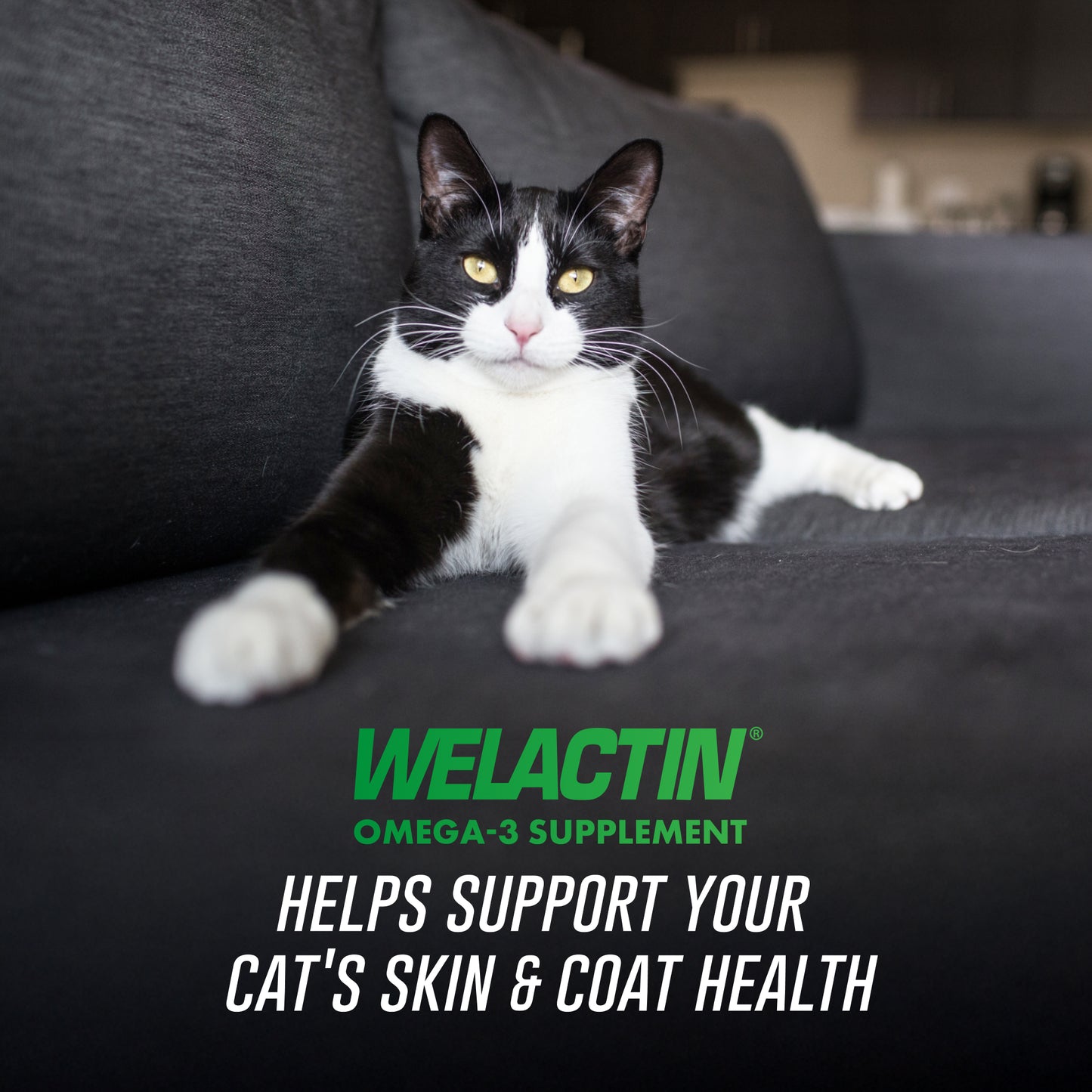 welactin feline  4 oz