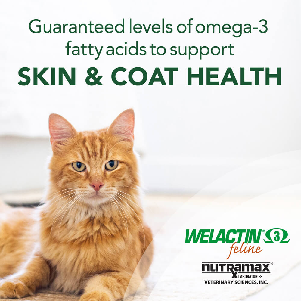 welactin feline  4 oz