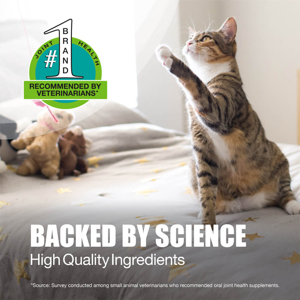 dasuquin for cats  84 sprinkle capsules