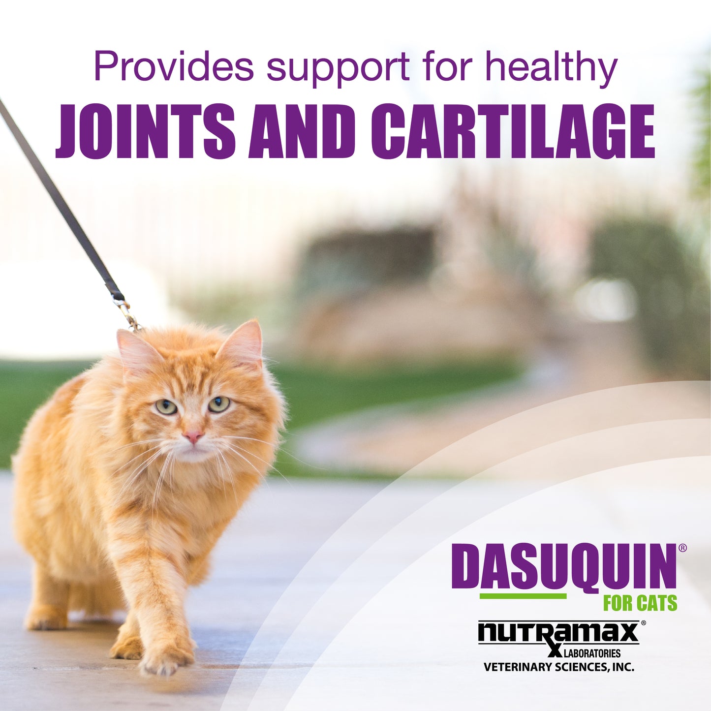 dasuquin for cats  84 sprinkle capsules