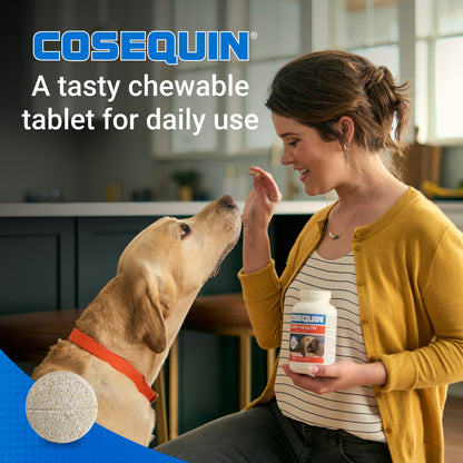 Cosequin Maximum Strength Plus MSM  250 Chewable Tabs
