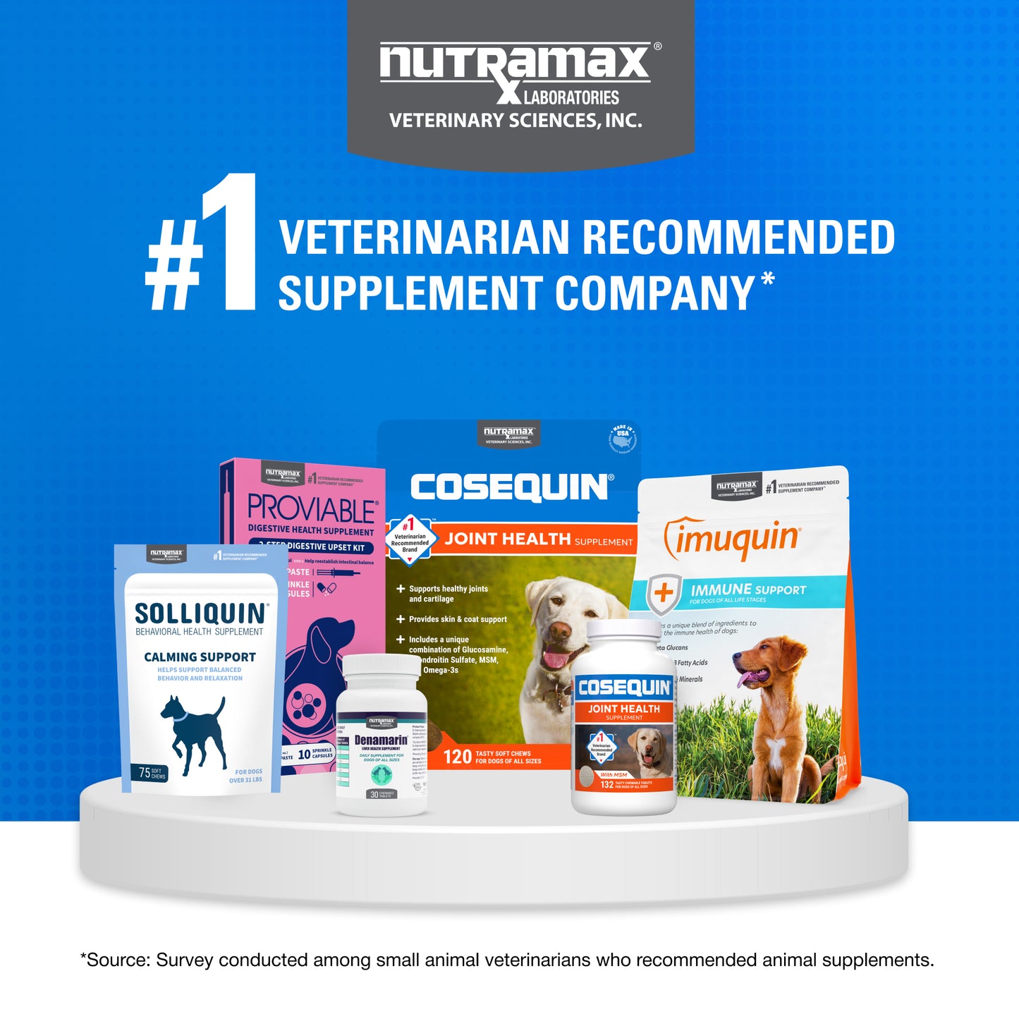 cosequin maximum strength plus msm  250 chewable tabs