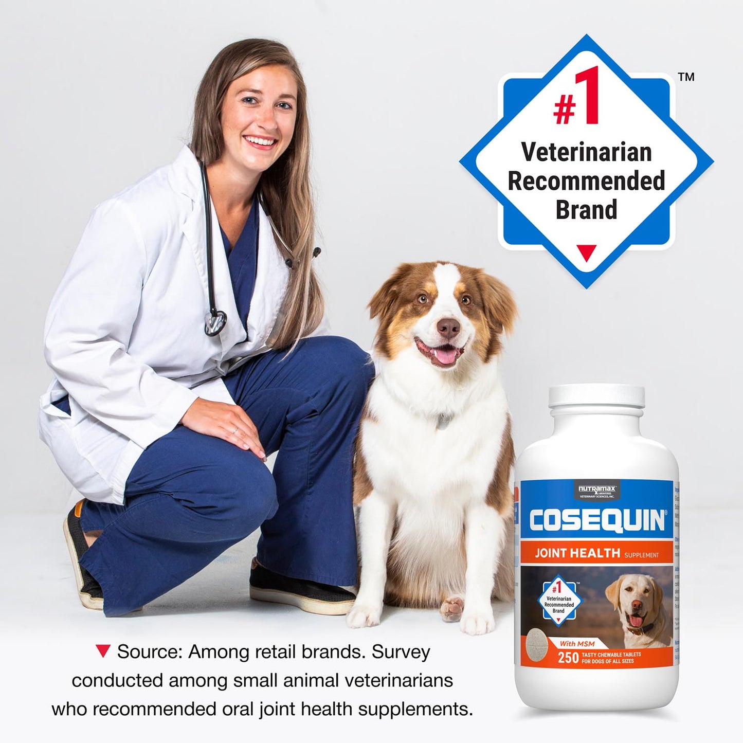cosequin maximum strength plus msm  250 chewable tabs