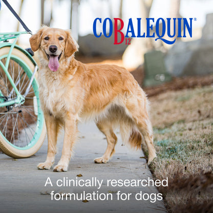 Cobalequin Chew Tab 45 ct for Medium/Large Dogs