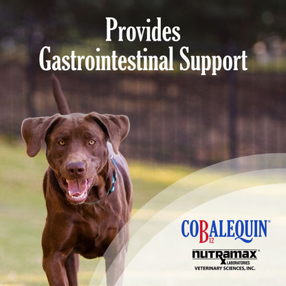 Cobalequin Chew Tab 45 ct for Medium/Large Dogs
