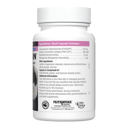 Cosequin for Cats  60 Count Capsule  Professional