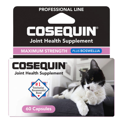 Cosequin for Cats  60 Count Capsule  Professional