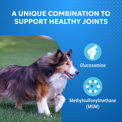 Cosequin Joint Health Supplement for Dogs  75 Chewable Tablets