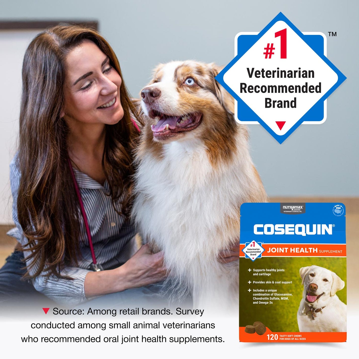 cosequin soft chews with msm plus omega-3s for dogs  120 ct