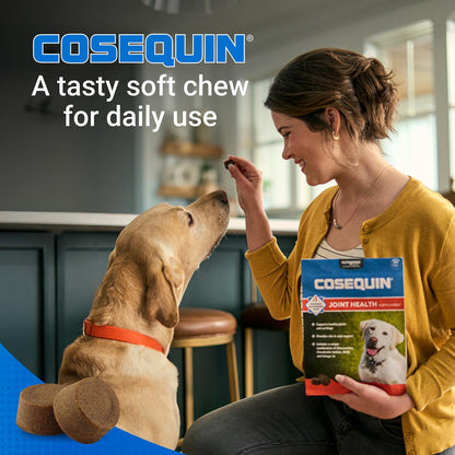 Cosequin Soft Chews with MSM plus Omega-3s for Dogs  120 ct