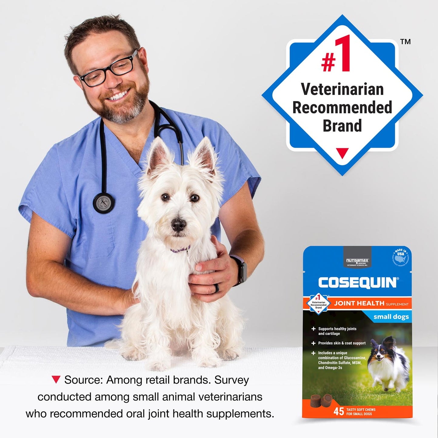 cosequin mini soft chews with msm plus omega-3s for little dogs