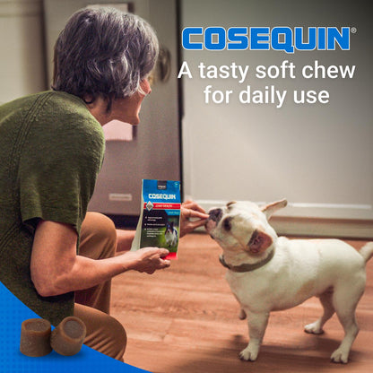Cosequin Mini Soft Chews with MSM Plus Omega-3s for Little Dogs