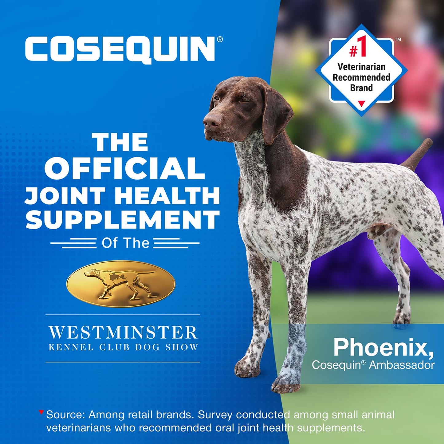 cosequin mini soft chews with msm plus omega-3s for little dogs