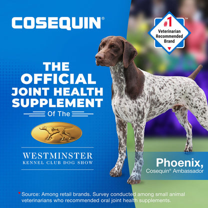 Cosequin Mini Soft Chews with MSM Plus Omega-3s for Little Dogs