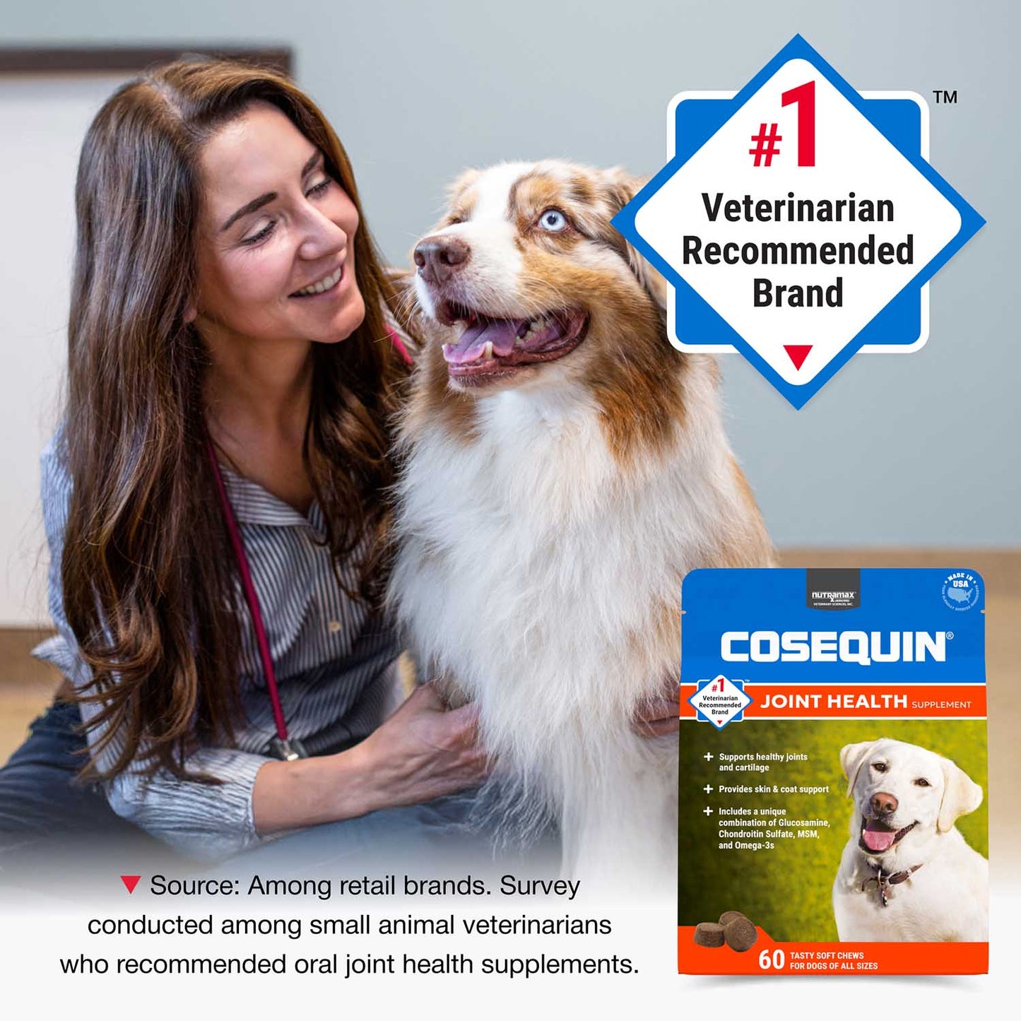 cosequin soft chews with msm plus omega-3s for dogs  60 ct