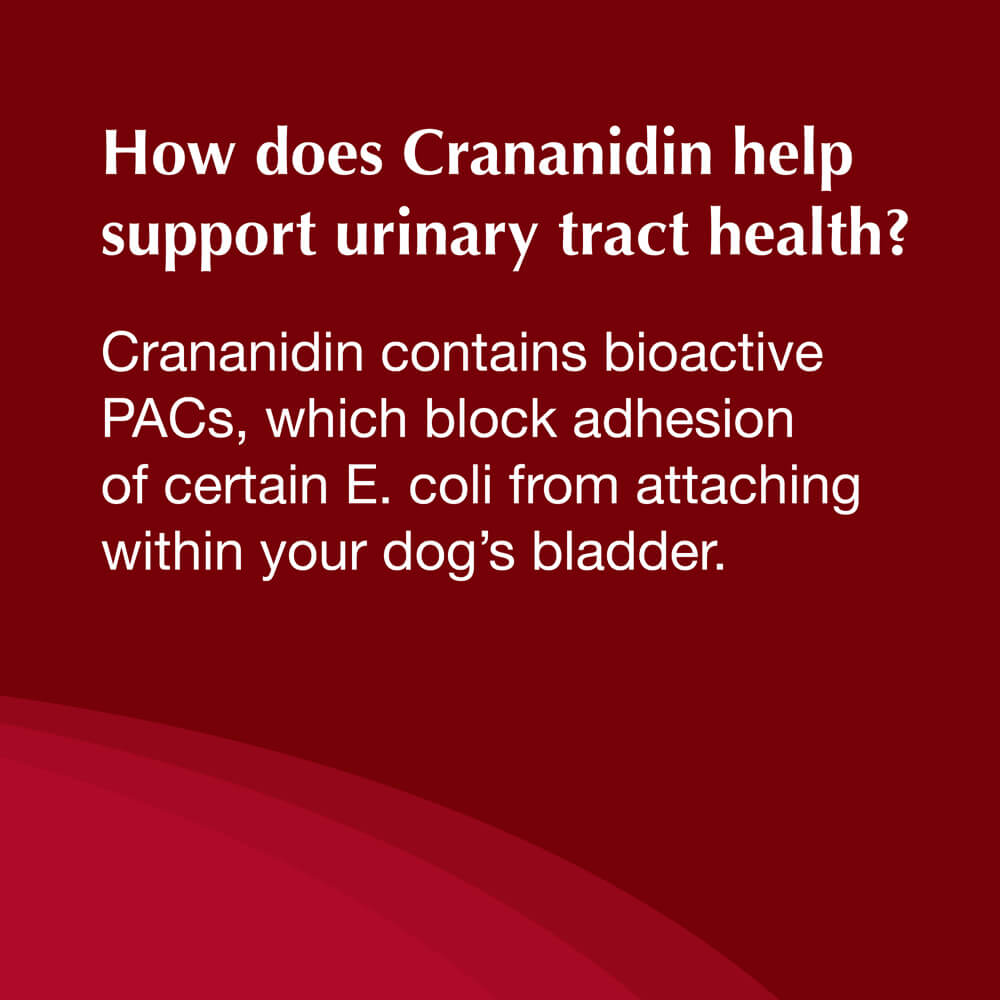 crananidin for dogs  75 chewable tablets