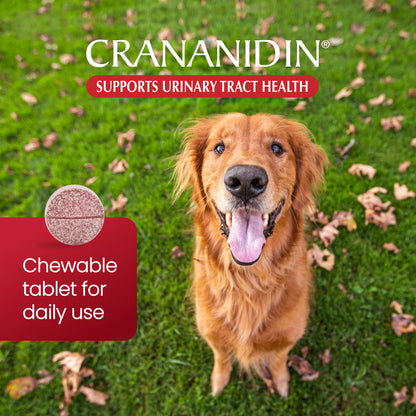 Crananidin for Dogs  75 Chewable Tablets