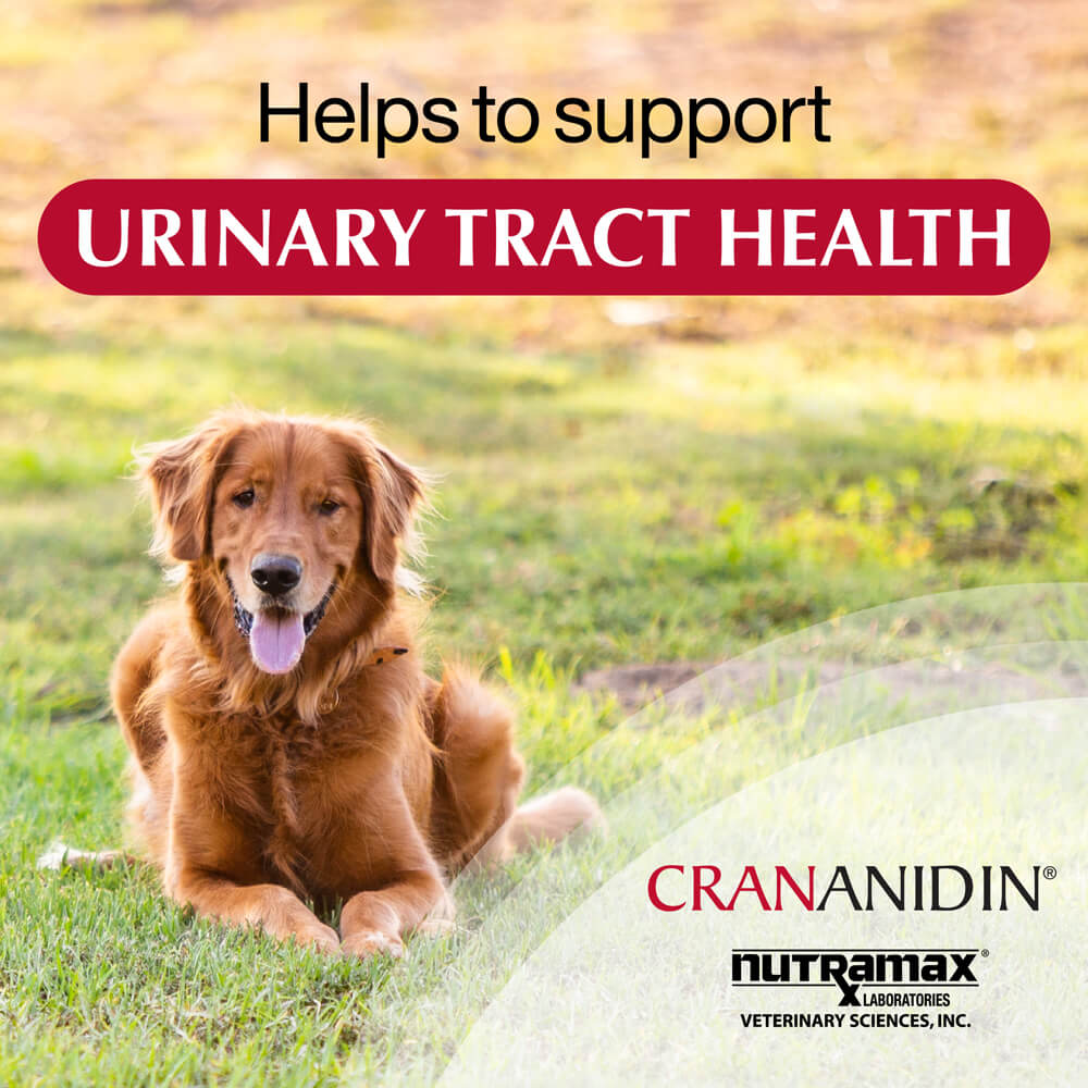 crananidin for dogs  75 chewable tablets