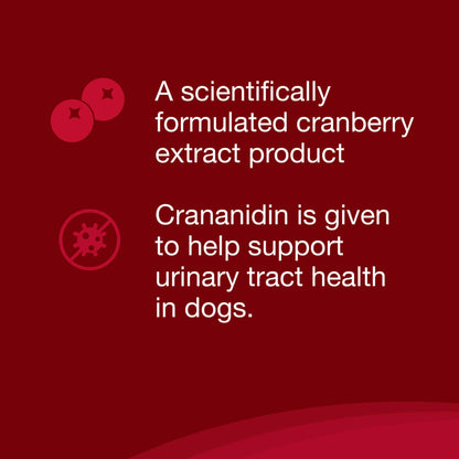 Crananidin for Dogs  75 Chewable Tablets