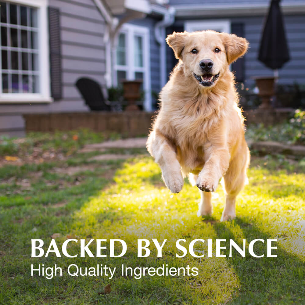 crananidin for dogs  75 chewable tablets