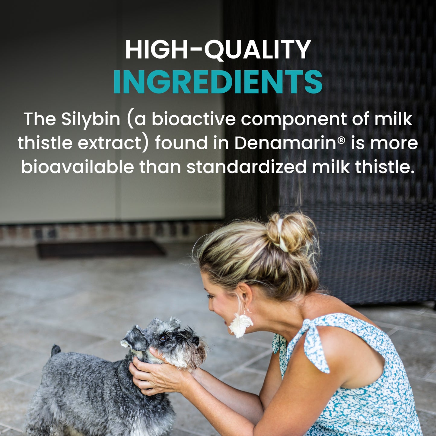 denamarin for dogs  13 to 34 lbs.  225mg  30 tablets