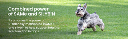 Denamarin for Dogs  13 to 34 lbs.  225mg  30 Tablets