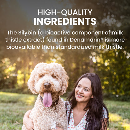 Denamarin for Large Dogs 35 lbs and Over  425mg  30 Stabilized Tablets
