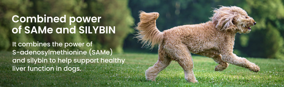 denamarin for large dogs 35 lbs and over  425mg  30 stabilized tablets