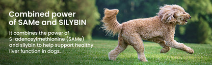 Denamarin for Large Dogs 35 lbs and Over  425mg  30 Stabilized Tablets